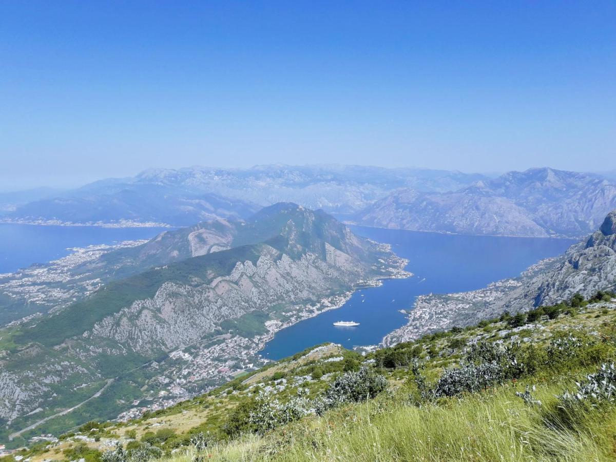 Bayview Apartments Tivat Montenegro Eksteriør bilde